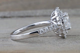 Double Halo Oval Moissanite