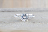 FOREVER ONE Charles and Colvard Moissanite Round Shared Prong Single Bead Engagement Ring